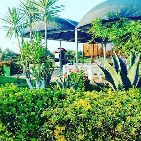 La Tenuta Del Passero Le Ferriere Exterior foto